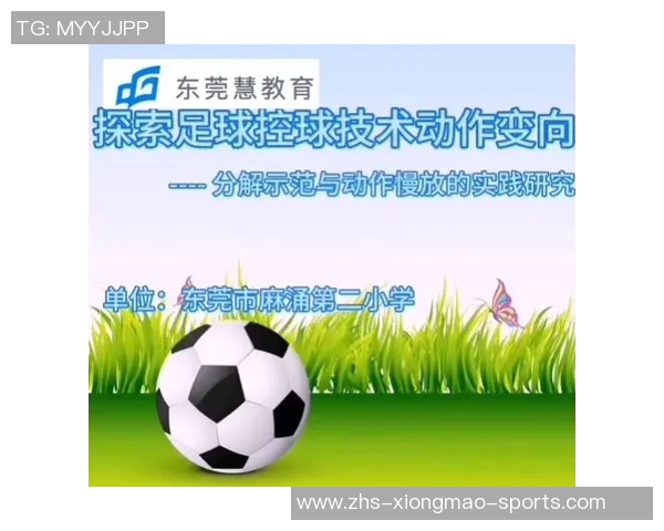 探索标准足球多重的魅力与技术深度解析 探索标准足球多重的魅力与技术深度解析